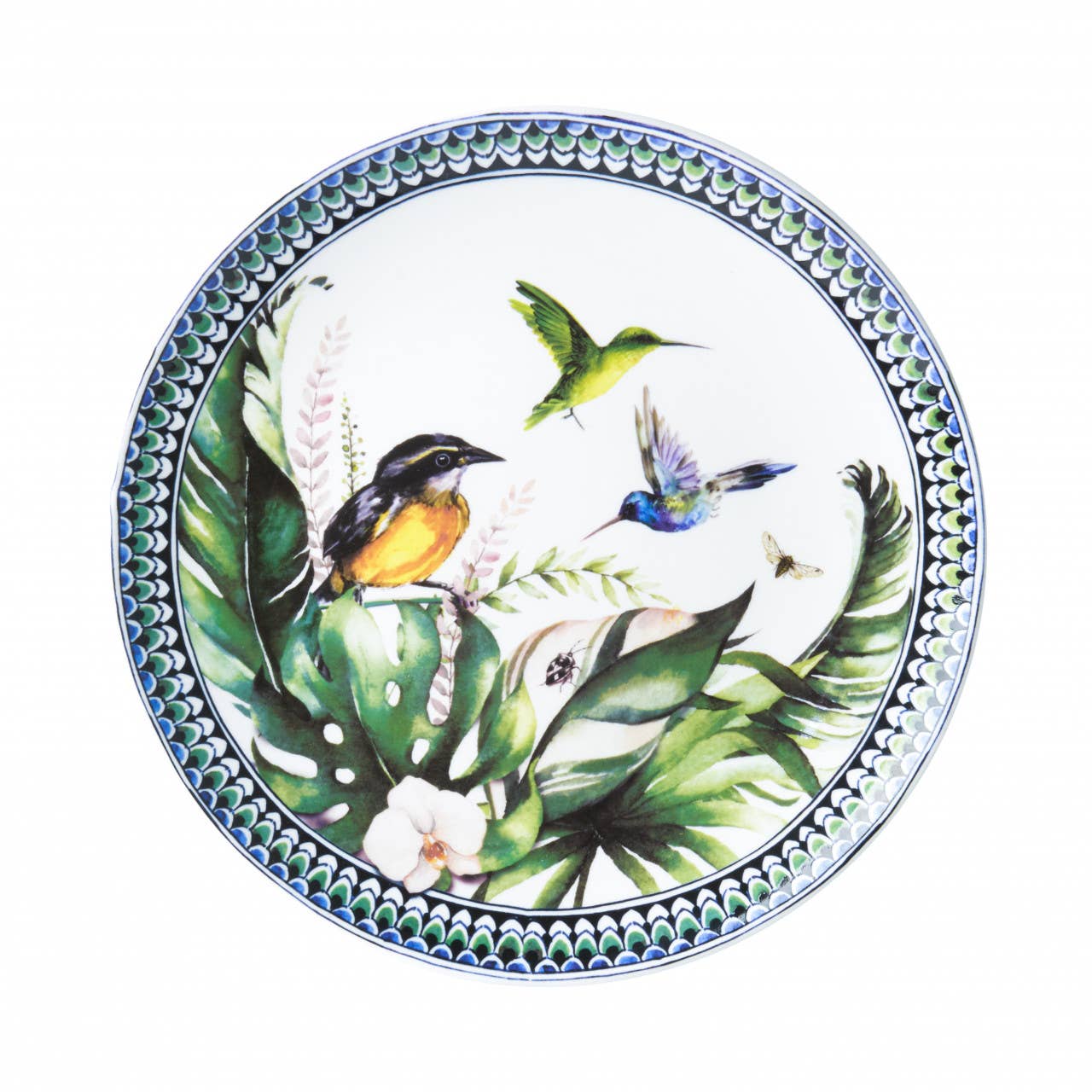 Bird Sugarthief