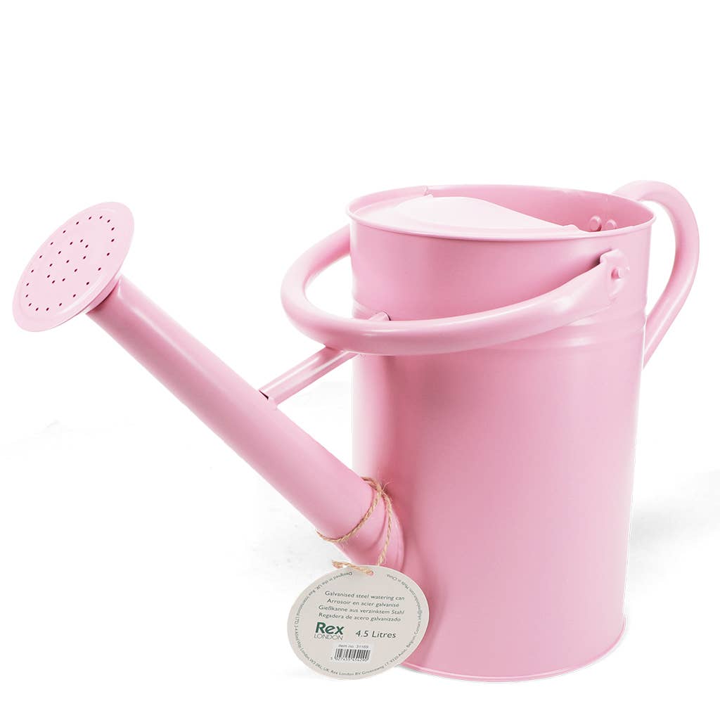 Gießkanne aus verzinktem Stahl 4,5L - Pink